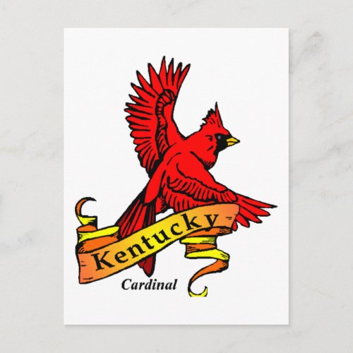 Kentucky State Bird Postcard