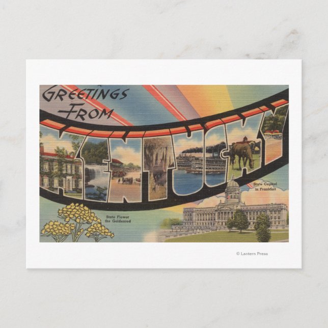 Kentucky (State Capital/Flower) Postcard (Front)