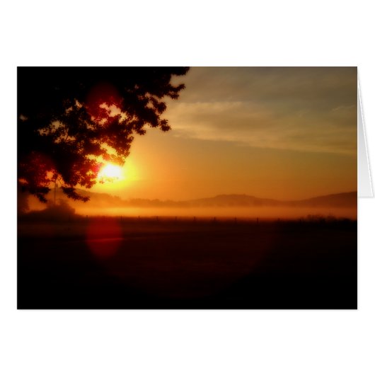 Kentucky Sunrise (Front Horizontal)