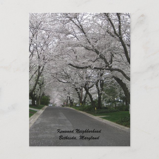 Kenwood Neighborhood, Bethesda, Maryland Postcard (Front)
