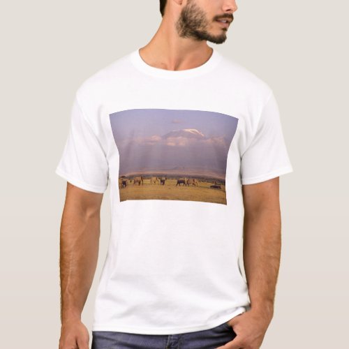 Kenya Amboseli National Park elephants and T_Shirt