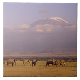 Kenya: Amboseli National Park, Elephants Ceramic Tile