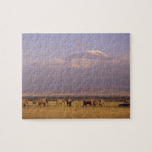 Kenya: Amboseli National Park, Elephants Jigsaw Puzzle