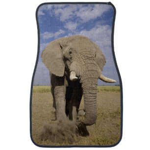 Kenya: Amboseli National Park, male elephant Car Floor Mat