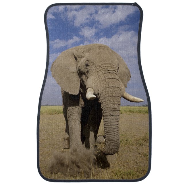 Kenya: Amboseli National Park, male elephant Car Floor Mat (Front)