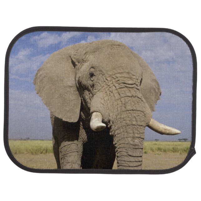 Kenya: Amboseli National Park, male elephant Car Mat (Rear)