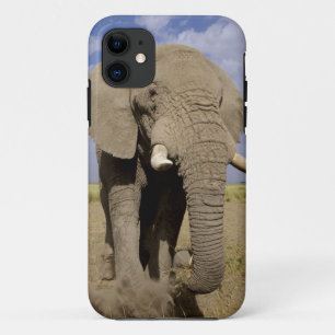 Kenya: Amboseli National Park, male elephant iPhone 11 Case