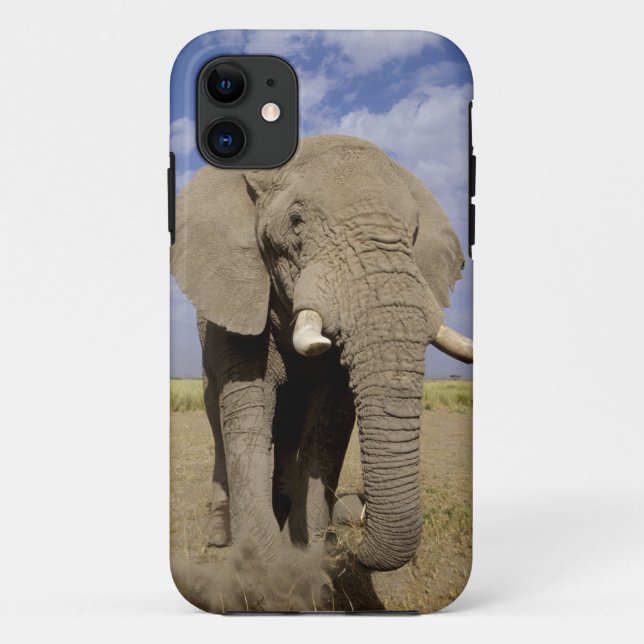 Kenya: Amboseli National Park, male elephant Case-Mate iPhone Case (Back)
