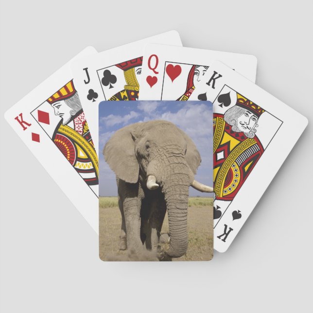 Kenya: Amboseli National Park, male elephant Poker Cards (Back)