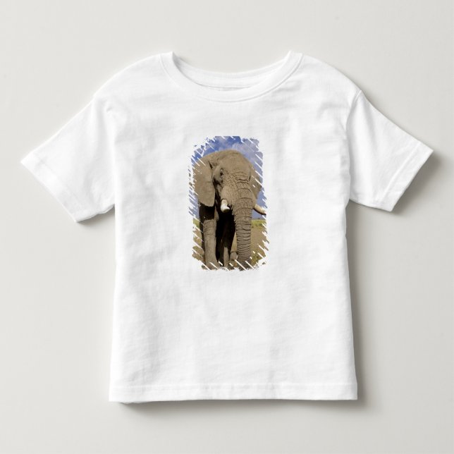 Kenya: Amboseli National Park, male elephant Toddler T-shirt (Front)