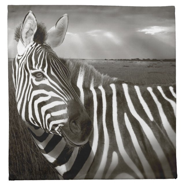 Kenya. Black & white of zebra and plain. Napkin (Front)