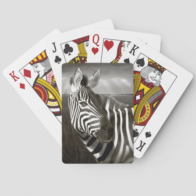 Kenya. Black & white of zebra and plain. Poker Cards (Back)