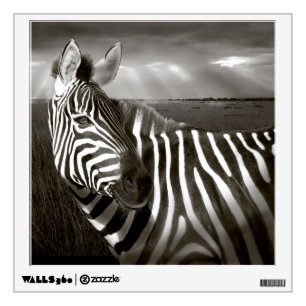 Kenya. Black & white of zebra and plain. Wall Decal