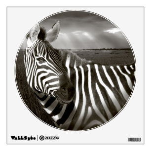 Kenya. Black & white of zebra and plain. Wall Sticker