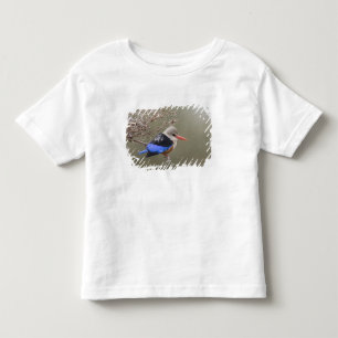 Kenya. Close-up of gray-headed kingfisher Toddler T-shirt