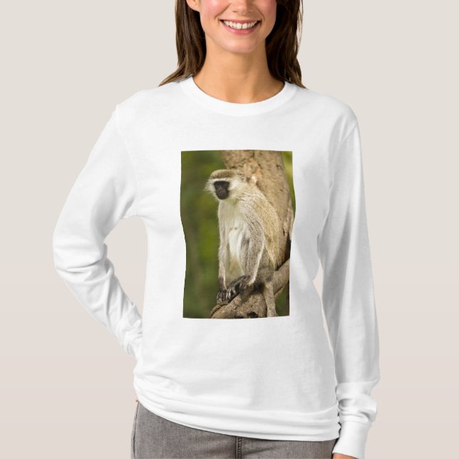 Kenya, Lake Nakuru National Park. Vervet T-Shirt (Front)