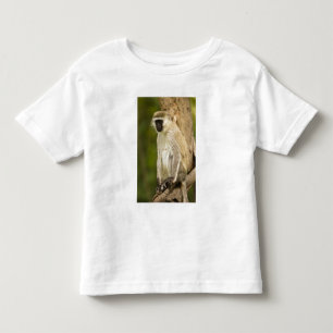 Kenya, Lake Nakuru National Park. Vervet Toddler T-shirt