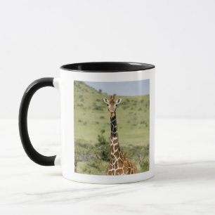 Kenya, Lewa Conservancy, Masai Giraffe standing Mug
