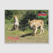 Kenya - Lionesses - (Front)