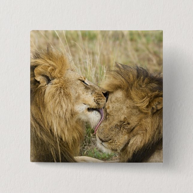 Kenya, Masai Mara Button (Front)