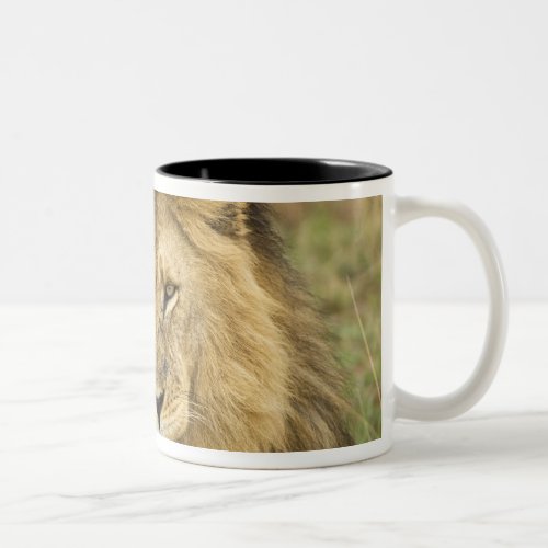 Kenya Masai Mara Close_up of lion Credit as Two_Tone Coffee Mug