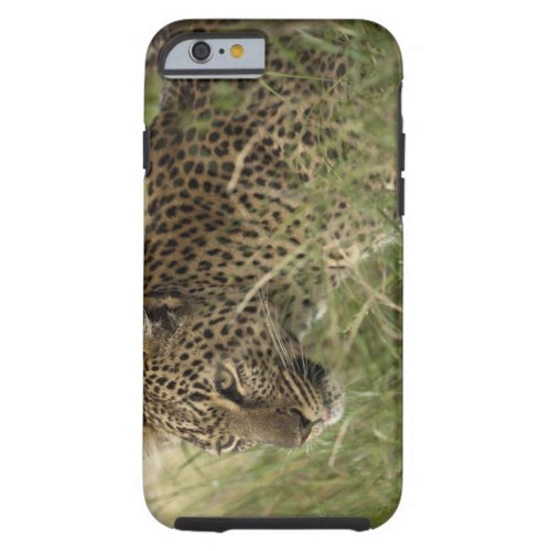 Kenya Masai Mara Game Reserve African Leopard 2 Tough iPhone 6 Case