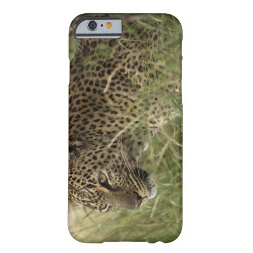 Kenya Masai Mara Game Reserve African Leopard 2 Barely There iPhone 6 Case