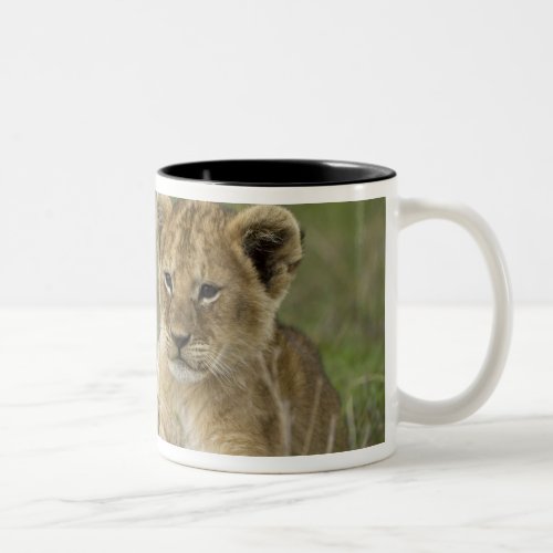 Kenya Masai Mara Game Reserve African Lion Two_Tone Coffee Mug