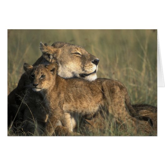 Kenya, Masai Mara Game Reserve, Lioness (Front Horizontal)