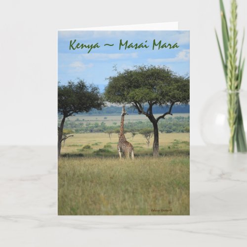 Kenya Masai Mara Giraffe Card