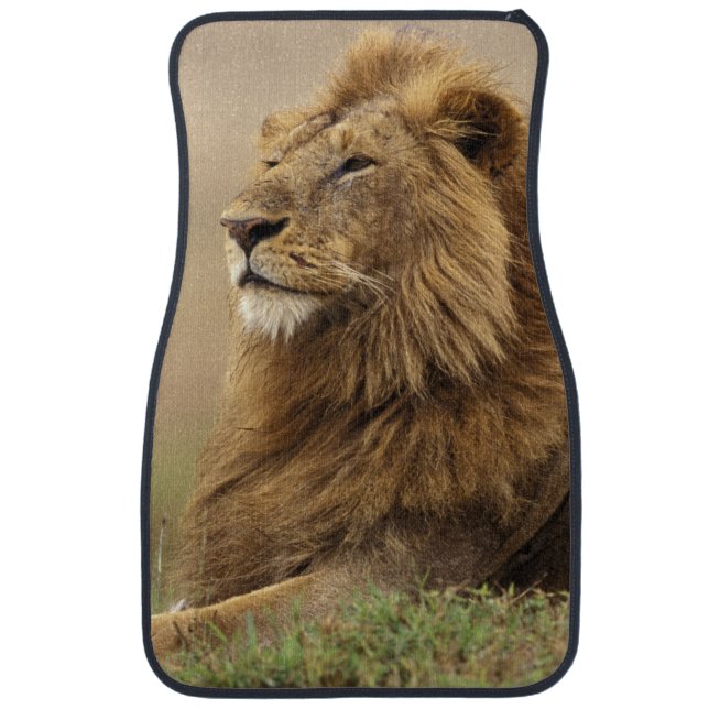 Kenya, Masai Mara | Male Lion Car Mat (Front)