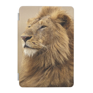 Kenya, Masai Mara   Male Lion iPad Mini Cover