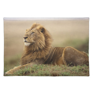 Kenya, Masai Mara Male Lion Placemat