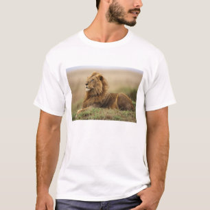 Kenya, Masai Mara Male Lion T-Shirt