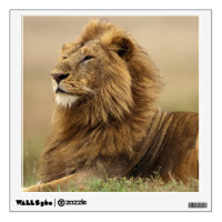 Kenya, Masai Mara | Male Lion