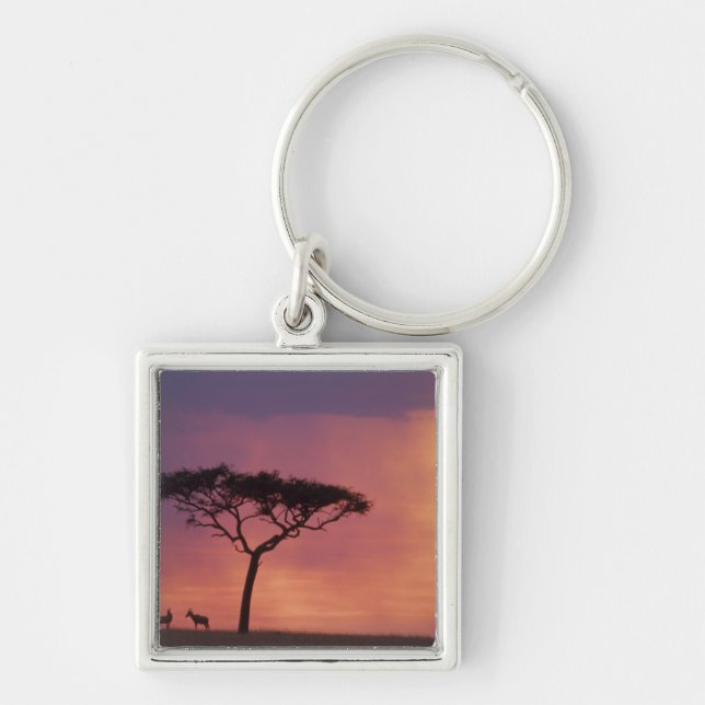 Kenya: Masai Mara National Park, Sunset. Keychain (Front)