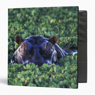 Kenya, Masai Mara National Reserve. 3 Ring Binder
