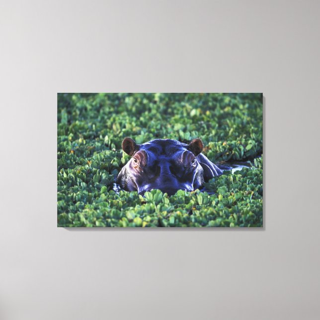 Kenya, Masai Mara National Reserve. Canvas Print (Front)