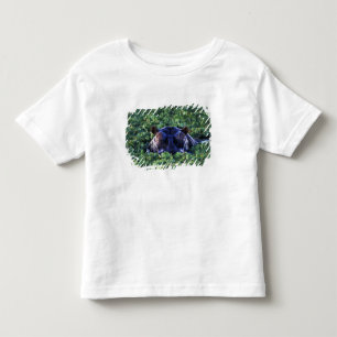 Kenya, Masai Mara National Reserve. Toddler T-shirt