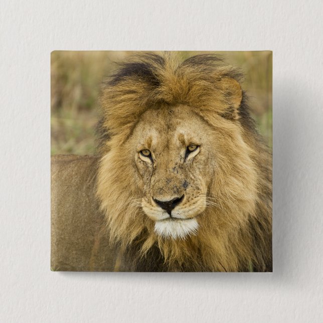 Kenya Masai Mara Pinback Button (Front)