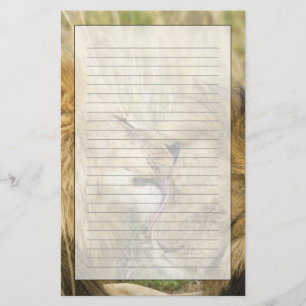Kenya, Masai Mara Stationery
