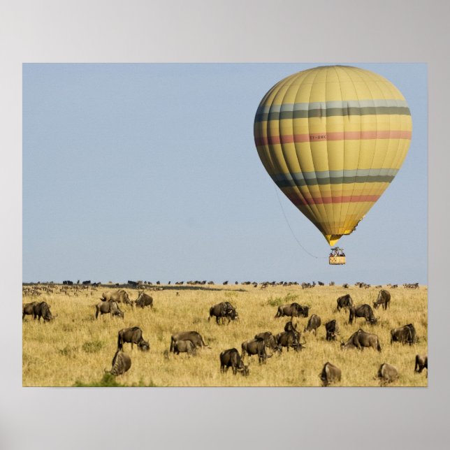 Kenya, Masai Mara. Tourists ride hot air balloon Poster (Front)