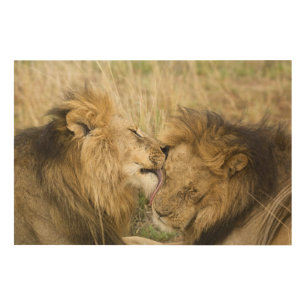 Kenya, Masai Mara Wood Wall Decor