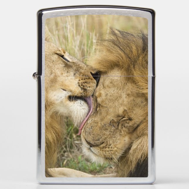 Kenya, Masai Mara Zippo Lighter (Front)