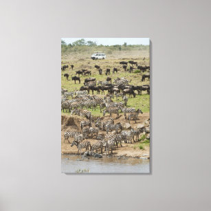 Kenya, No Water No Life Mara River Expedition, 5 Canvas Print