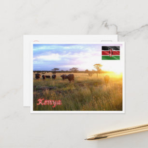 Kenya - Panorama - Postcard