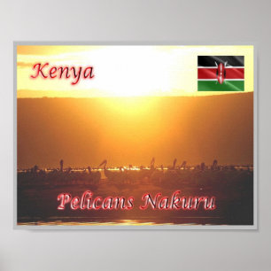 Kenya - Pelicans Nakuru - Poster