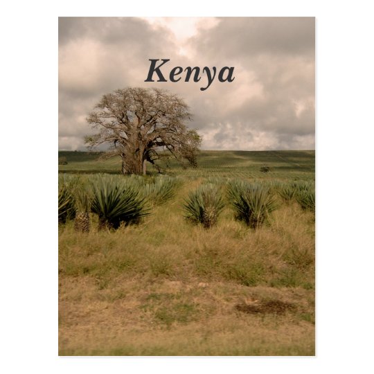 Kenya Postcard