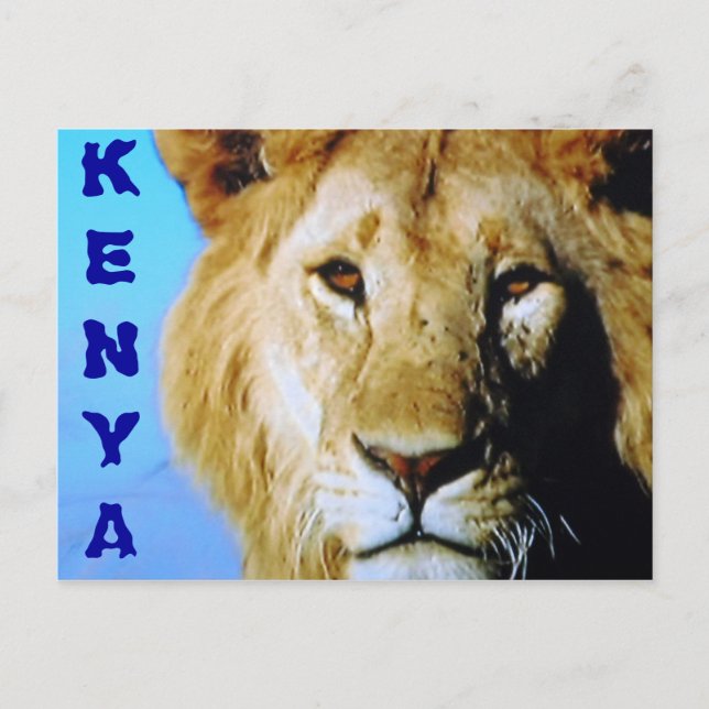 Kenya safari postcard (Front)