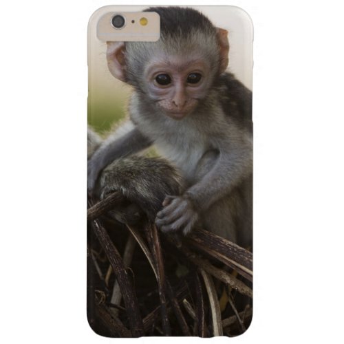 Kenya Samburu Game Reserve Vervet Monkey Barely There iPhone 6 Plus Case